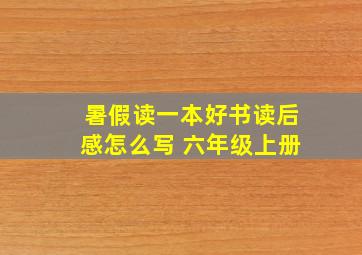 暑假读一本好书读后感怎么写 六年级上册